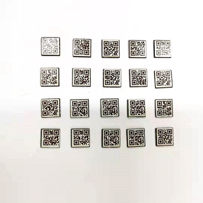 Het Spoor Mini Barcode 10mm X 10mm van de gasflesklep