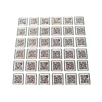 Het Spoor Mini Barcode 10mm X 10mm van de gasflesklep